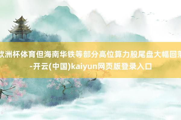 欧洲杯体育但海南华铁等部分高位算力股尾盘大幅回落-开云(中国)kaiyun网页版登录入口